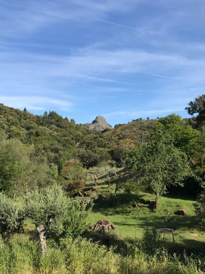 Azeite De Marvao, Olivoturismo Casa Mestre Do Lagar Bagian luar foto